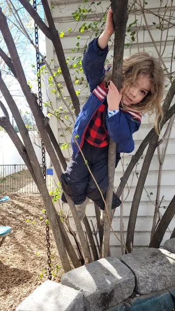 Rhoam Summer climbing a tree